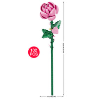 Pink Long Stem Rose