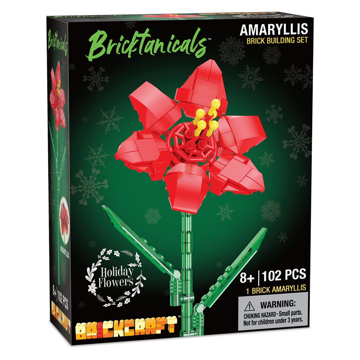 Amaryllis