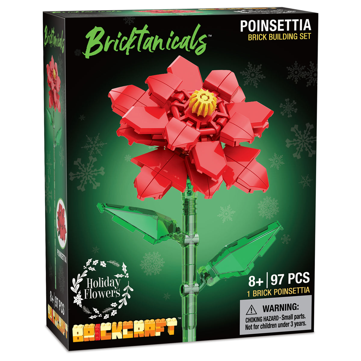 Poinsettia